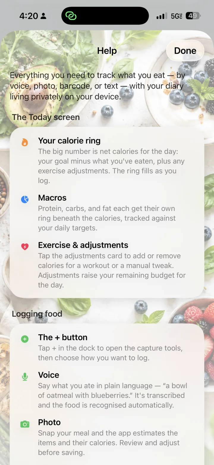 In-app help over the app’s private, on-device design