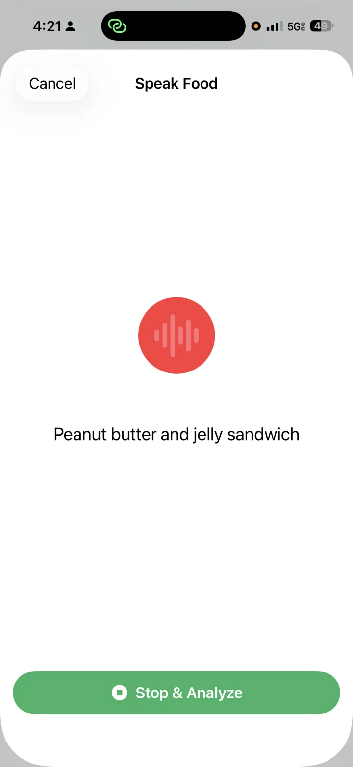 Speaking a meal to log it by voice